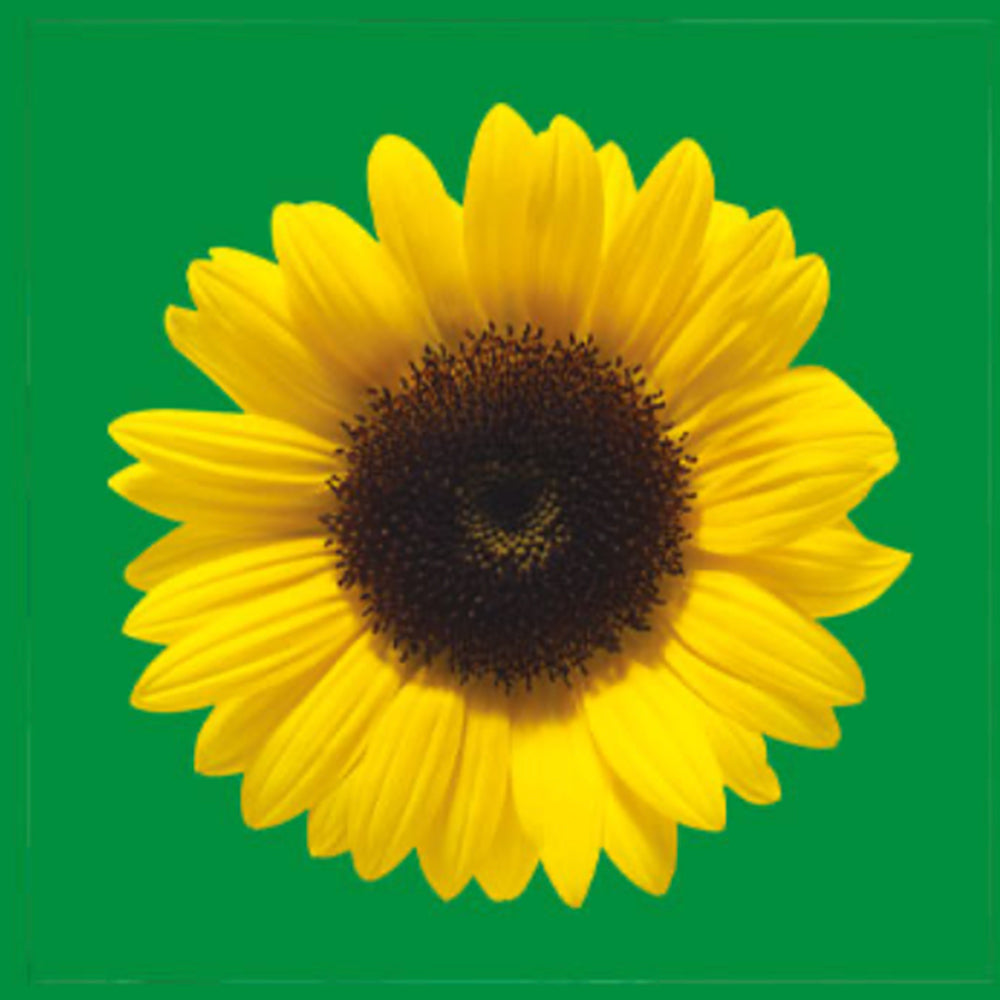 Identifying diabetes as a hidden disability