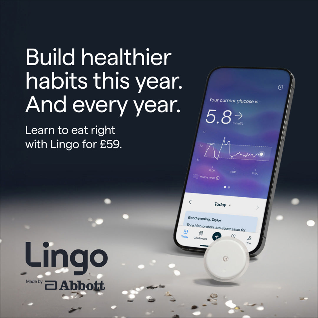 Lingo US launch update